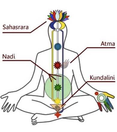 Diagram of chakras and Kundalini in a human being - Wikicommons