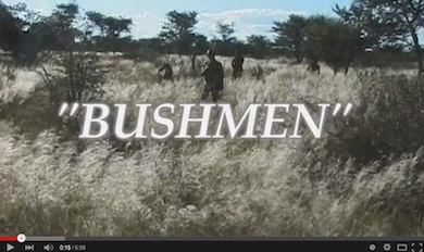 Bushmen youtube
