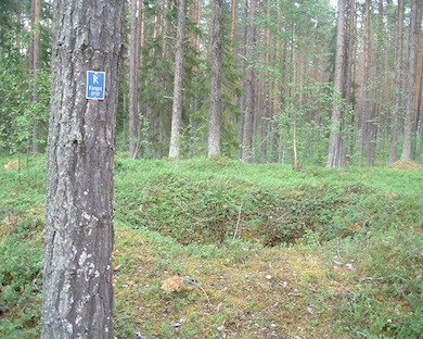 Fångstgrop. Foto: Erik Svanberg (wikicommons)